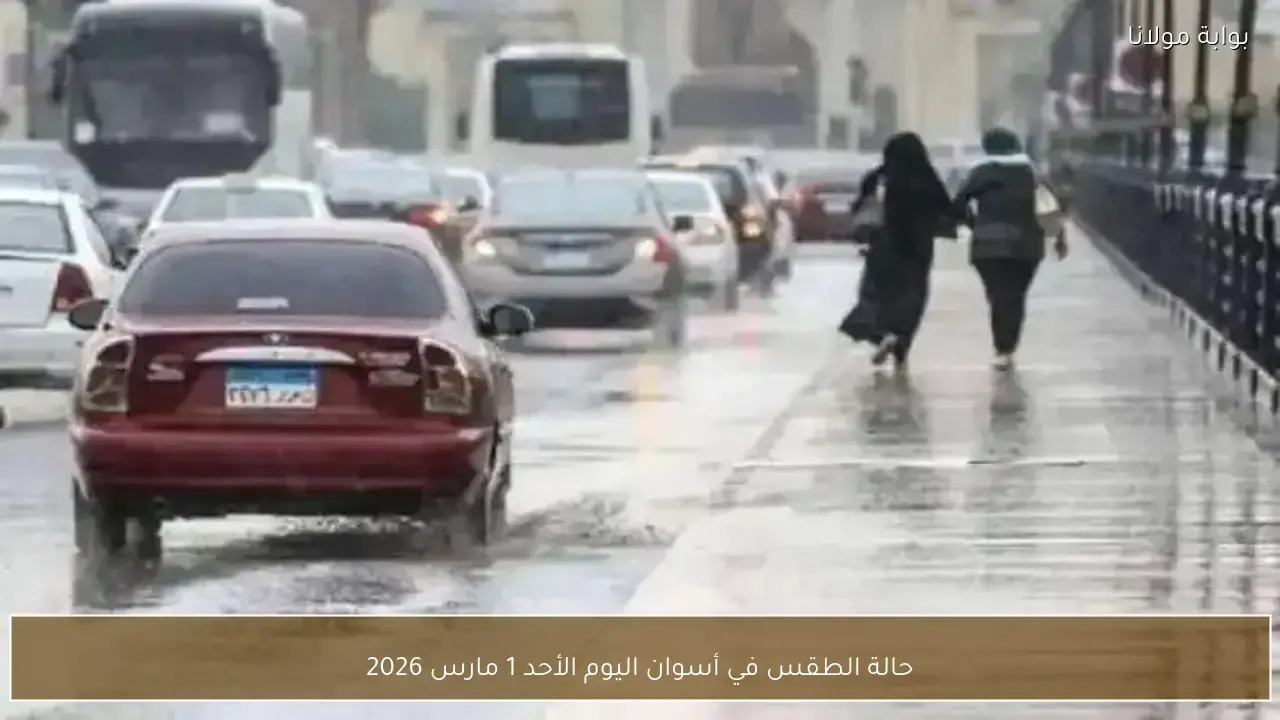 توقعات درجات الحرارة وفرص سقوط الأمطار في محافظة أسوان خلال ساعات الأحد الممطرة